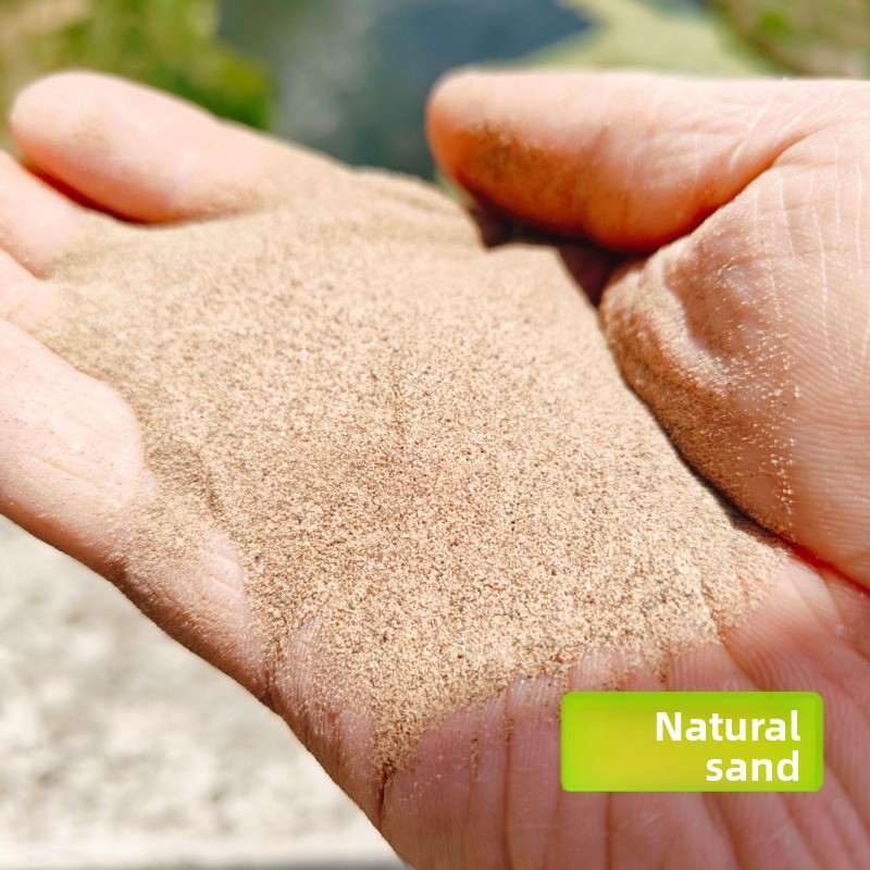 Reptile Sand Calcium Sand for  - Sphagnum Moss Dry review and price