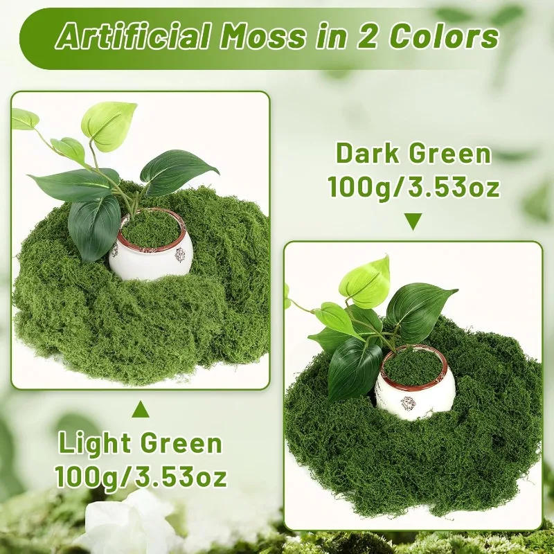 Eternal Life Moss Grass Artifi - Sphagnum Moss Dry review and price