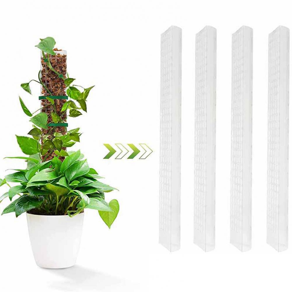 Climbing Plants Moss Pole Aeri - Sphagnum Moss Dry review and price