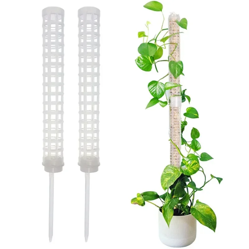 Plant Trellis Supporting Stick - Sphagnum Moss Dry review and price