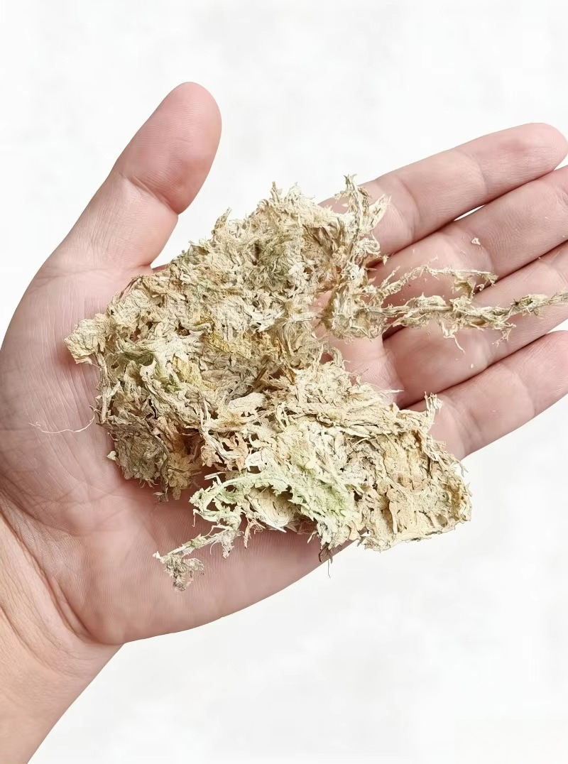 Premium Sphagnum Moss for Orch - Sphagnum Moss Dry review and price