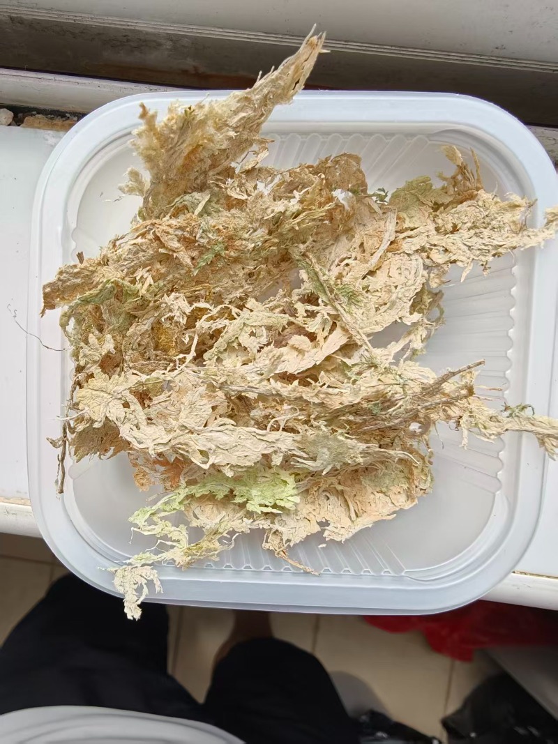 Premium Sphagnum Moss for Orch - Sphagnum Moss Dry review and price