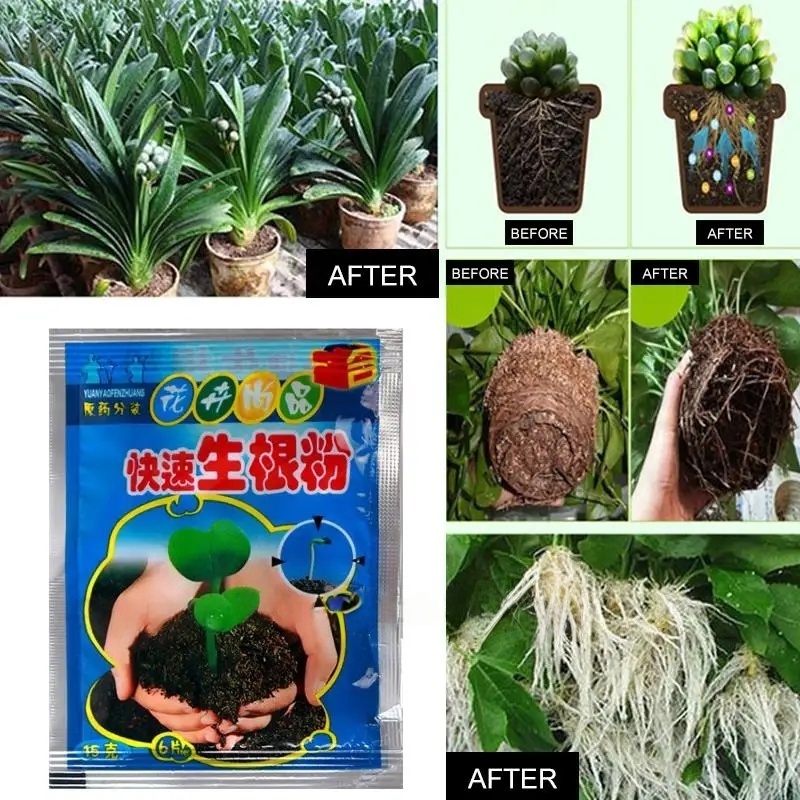 5pcs Fast Rooting Powder Plant - Root Stimulator Liquid review and price